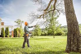 Best Weed Control  in Oceanside, NY