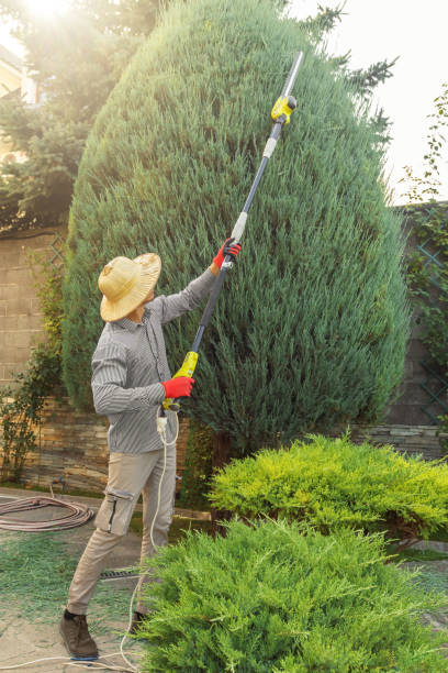 Best Landscape Design and Installation  in Oceanside, NY